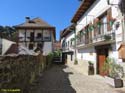 OCHAGAVIA (151)