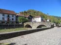 OCHAGAVIA (152)