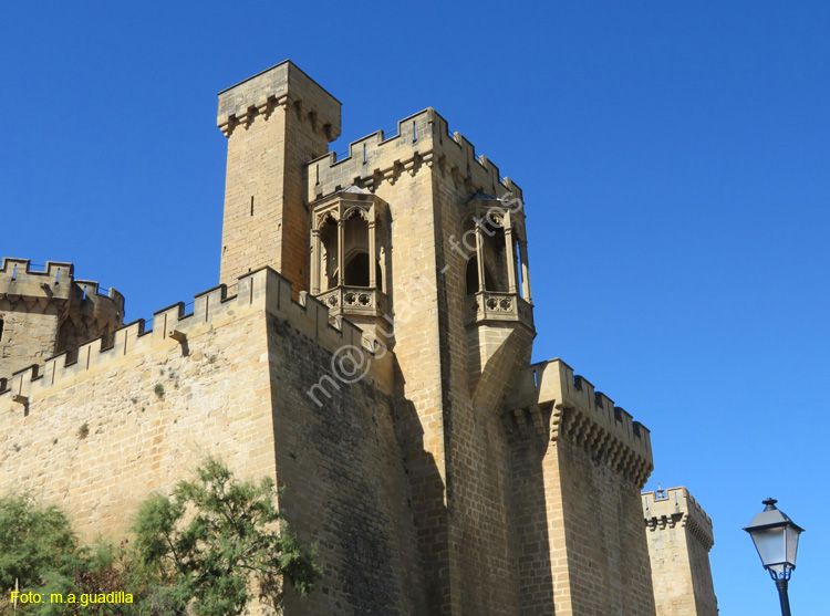 OLITE (102) Palacio Real