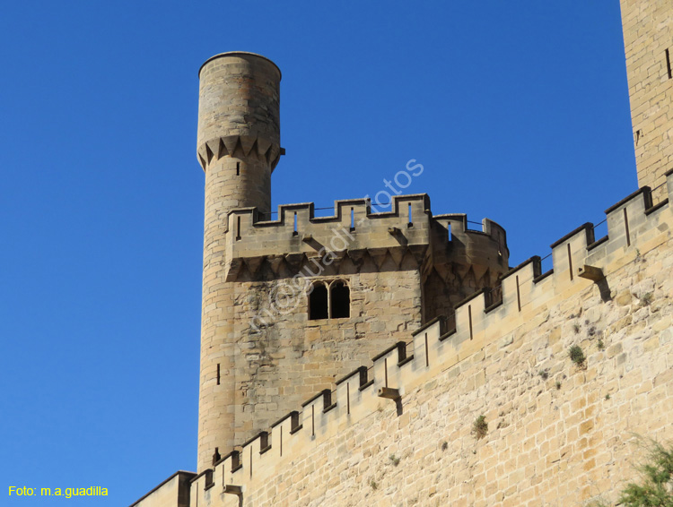 OLITE (103) Palacio Real