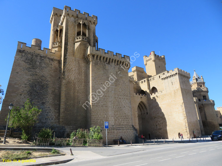 OLITE (105) Palacio Real