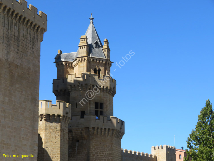 OLITE (106) Palacio Real