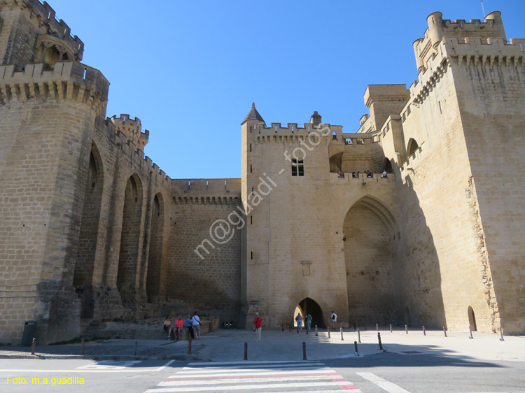 OLITE (108) Palacio Real