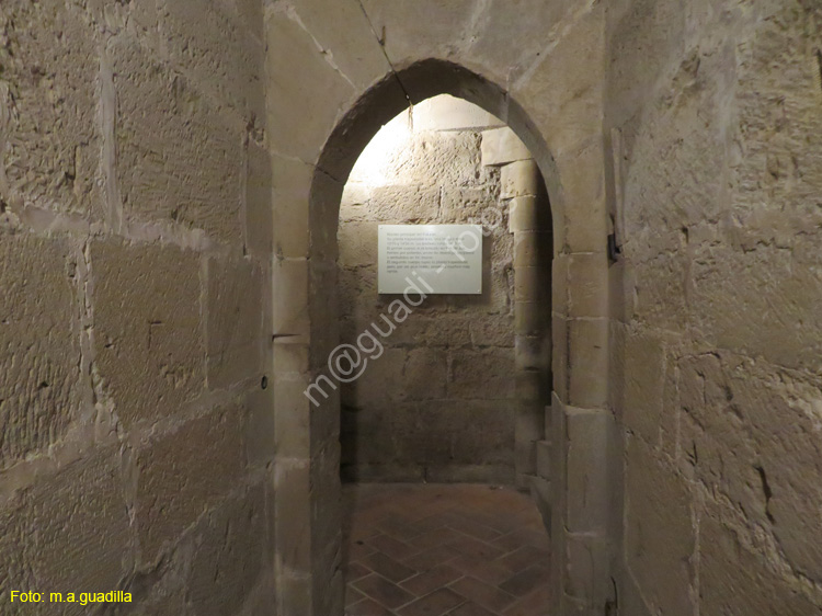 OLITE (118) Palacio Real
