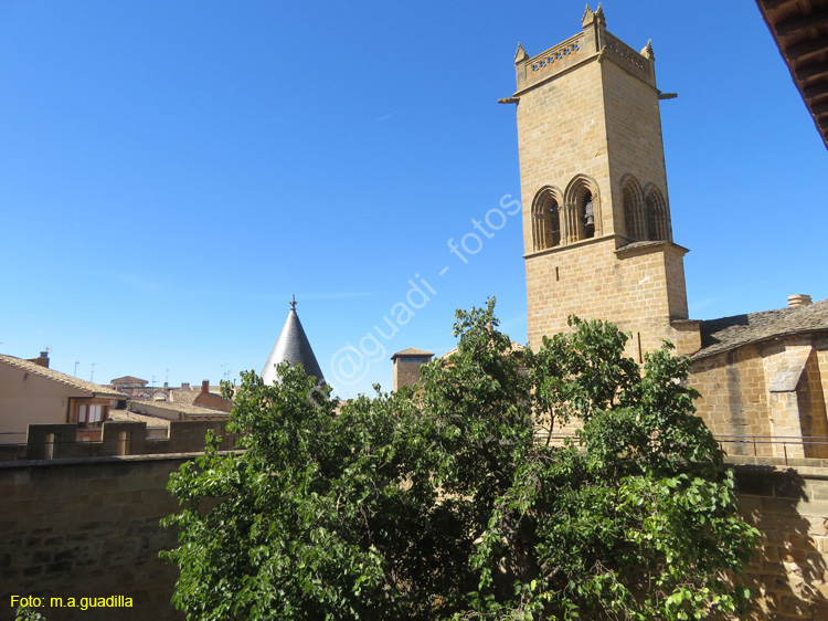 OLITE (123) Palacio Real