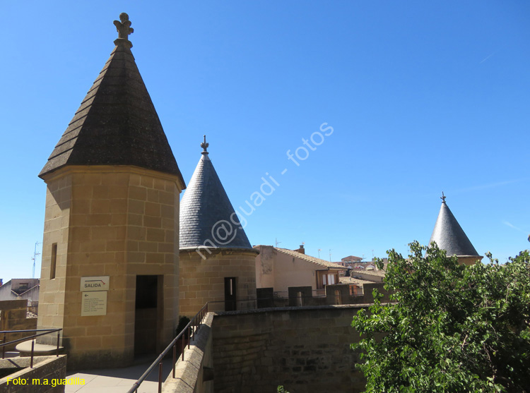 OLITE (124) Palacio Real