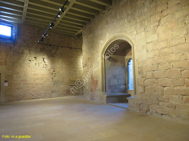 OLITE (126) Palacio Real