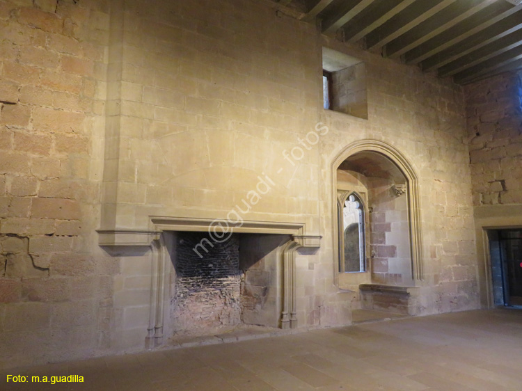 OLITE (127) Palacio Real