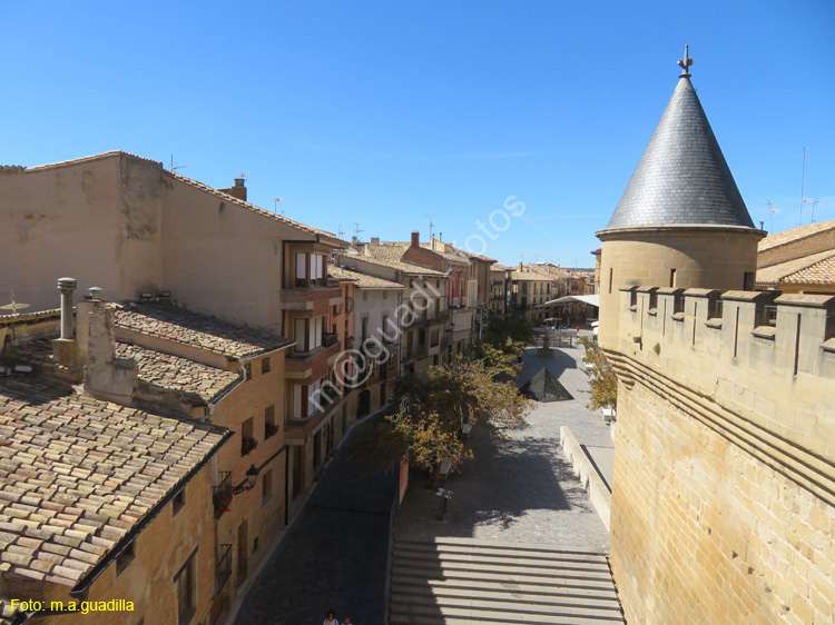 OLITE (131) Palacio Real