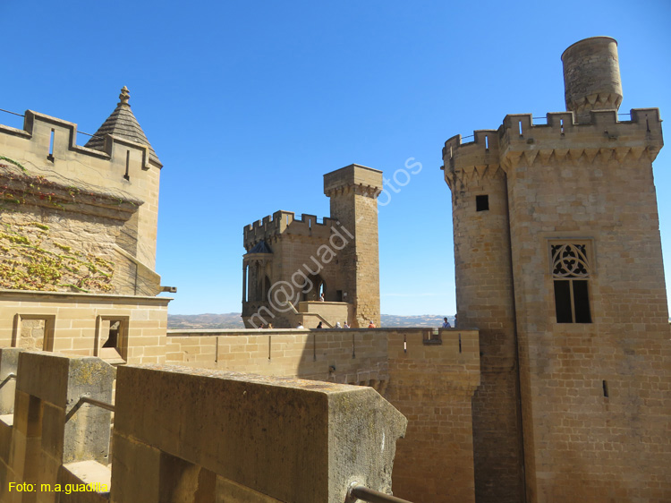OLITE (136) Palacio Real