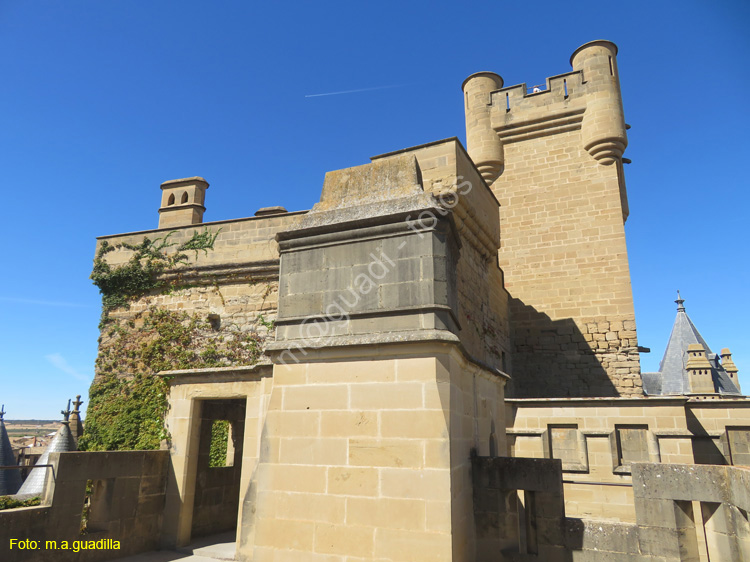 OLITE (141) Palacio Real