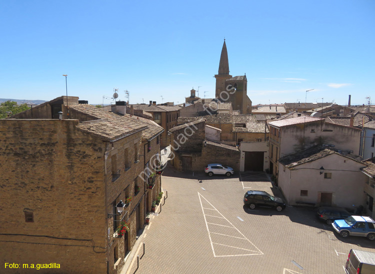 OLITE (147) Palacio Real