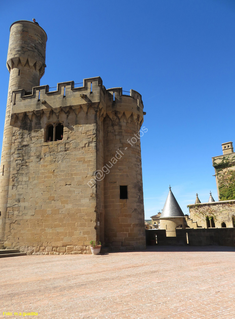 OLITE (149) Palacio Real