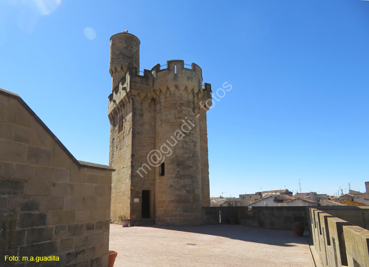 OLITE (155) Palacio Real