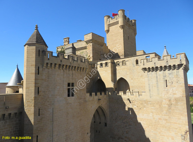 OLITE (156) Palacio Real