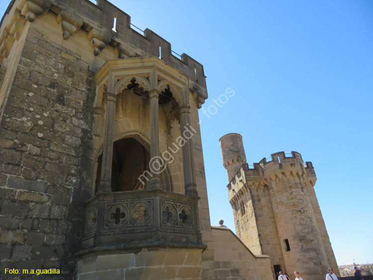 OLITE (157) Palacio Real