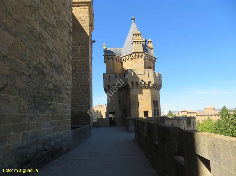 OLITE (158) Palacio Real