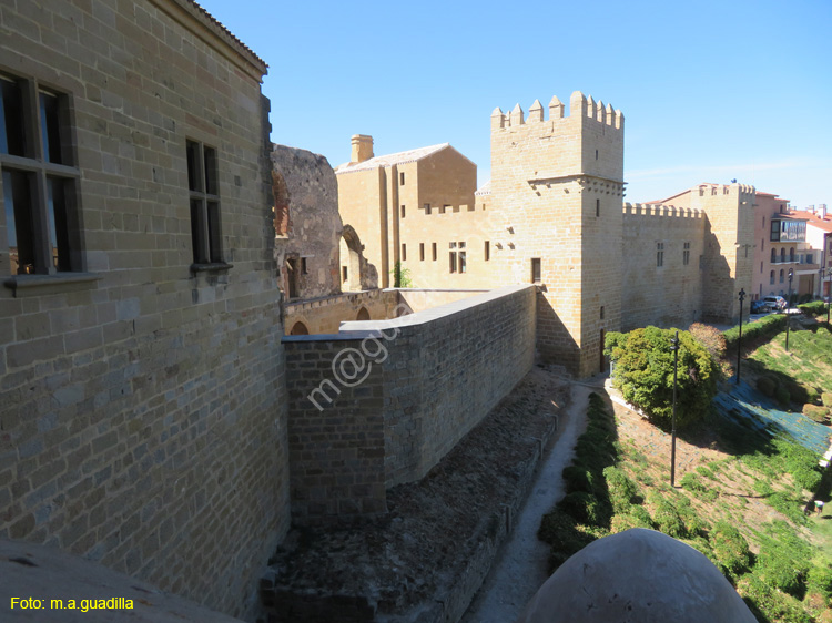 OLITE (163) Palacio Real