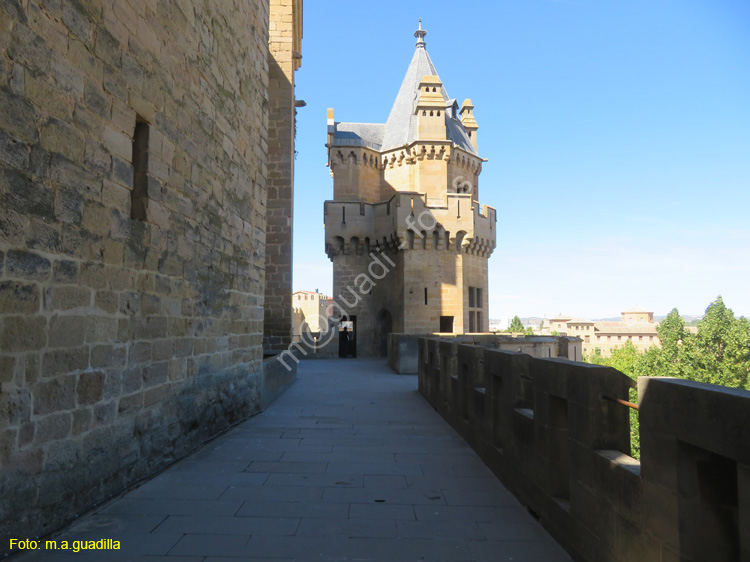 OLITE (166) Palacio Real