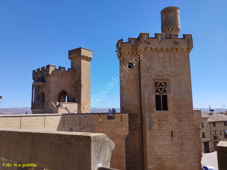 OLITE (173)  Palacio Real