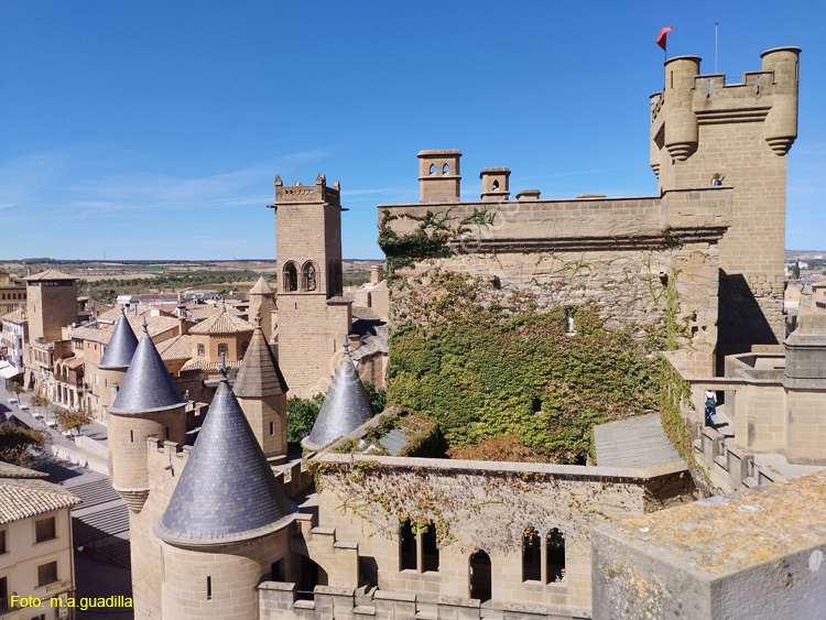 OLITE (176)  Palacio Real