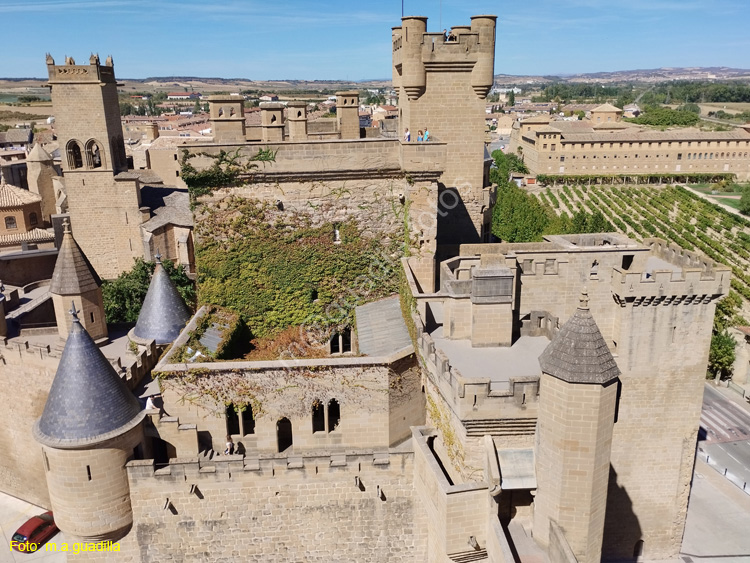 OLITE (177)  Palacio Real