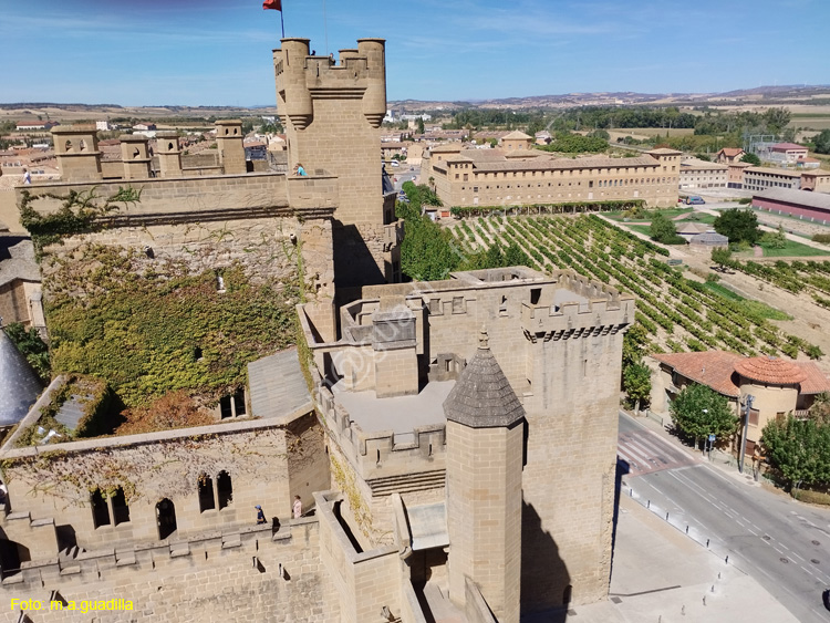 OLITE (178)  Palacio Real