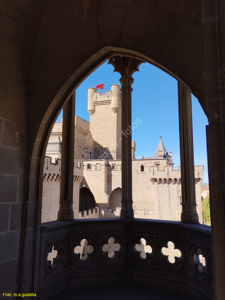 OLITE (186)  Palacio Real
