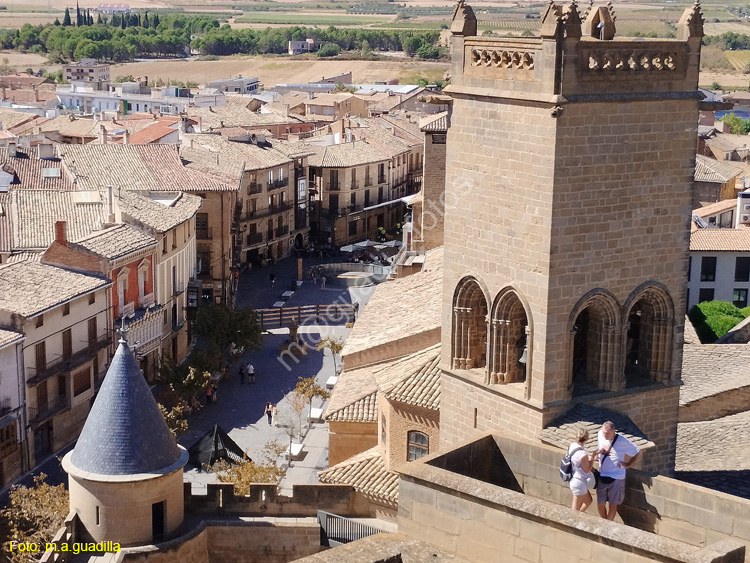 OLITE (195)  Palacio Real