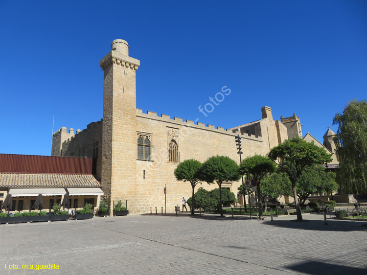 OLITE (203) Palacio Viejo - Parador