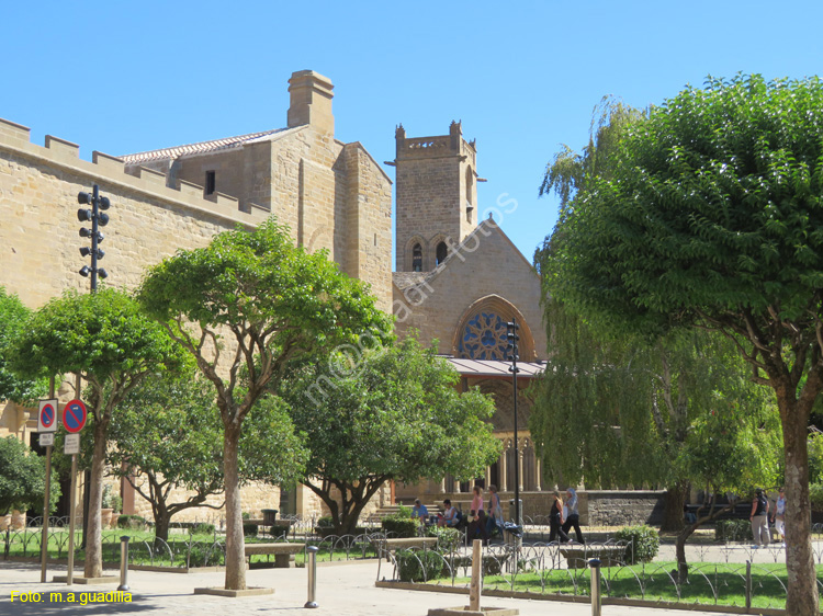 OLITE (217) Iglesia de Santa Maria la Real