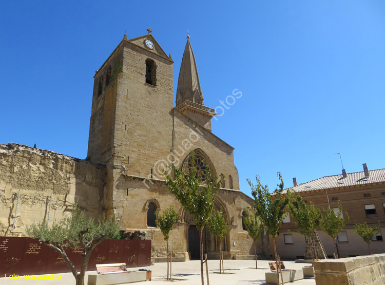 OLITE (301) Iglesia de San Pedro