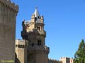 OLITE (106) Palacio Real