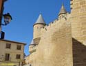 OLITE (111) Palacio Real