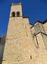 OLITE (115) Palacio Real