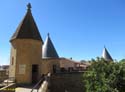 OLITE (124) Palacio Real