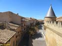OLITE (131) Palacio Real
