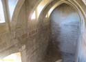 OLITE (135) Palacio Real