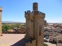 OLITE (142) Palacio Real
