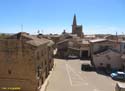 OLITE (147) Palacio Real