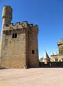 OLITE (149) Palacio Real