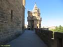 OLITE (166) Palacio Real