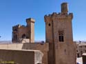 OLITE (173)  Palacio Real