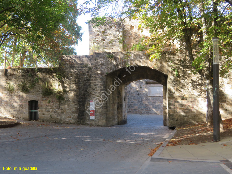 PAMPLONA (432) Portal de Francia