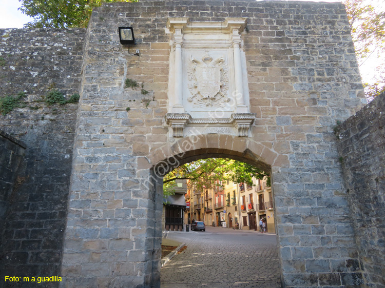 PAMPLONA (434) Portal de Francia