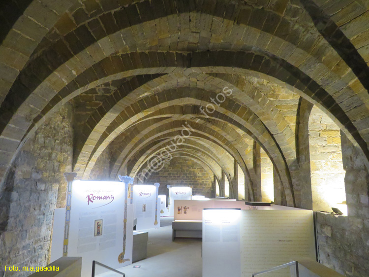 PAMPLONA (440) Palacio de los Reyes de Navarra