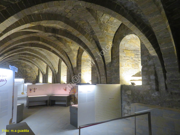 PAMPLONA (441) Palacio de los Reyes de Navarra