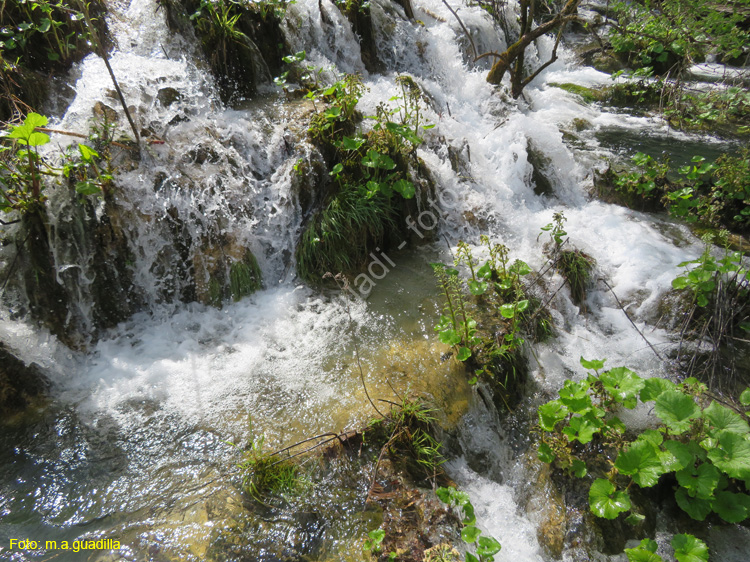 Parque de Plitvice (119)