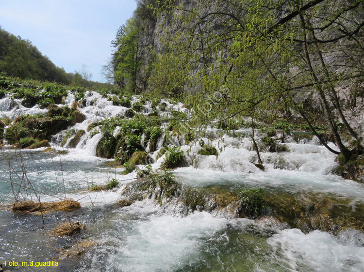 Parque de Plitvice (134)