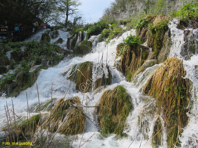 Parque de Plitvice (137)
